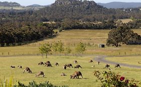 Hanging Rock Views